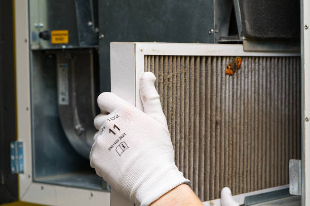 Best Home Air Vent Cleaning  in Woodville, WI